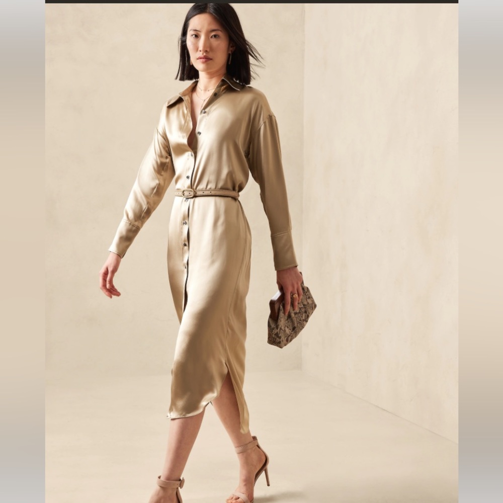 NWT BANANA REPUBLIC MUSE SILK SHIRTDRESS